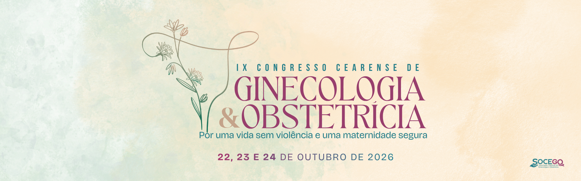 IX Congresso de Ginecologia e Obstetrícia – Por uma vida sem violência e uma maternidade segura.